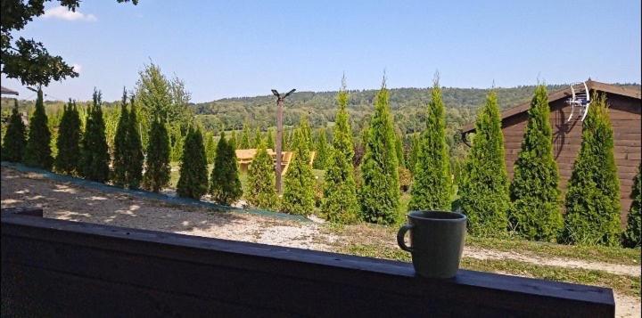 Bieszczadzkie Wzgorze Saunowe- Jacuzzi I Sauna W Cenie Pobytu Apartment *